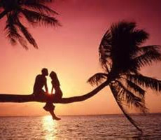 Amor 3
